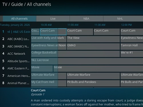 Interfaz de KODI Android mostrando TV Online gratis con lista M3U.