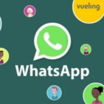 WhatsApp con Publicidad