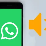 Chats de Voz en Grupos de WhatsApp en Android